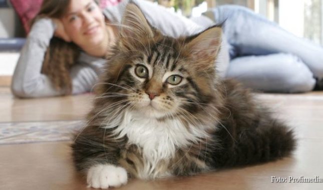 Laž mrze i životinje, a kamoli ljudi