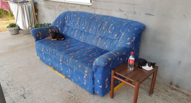 Kuhinja, namještaj i frižider za devetočlanu porodicu iz sela Vladne IKC PODGORICA
