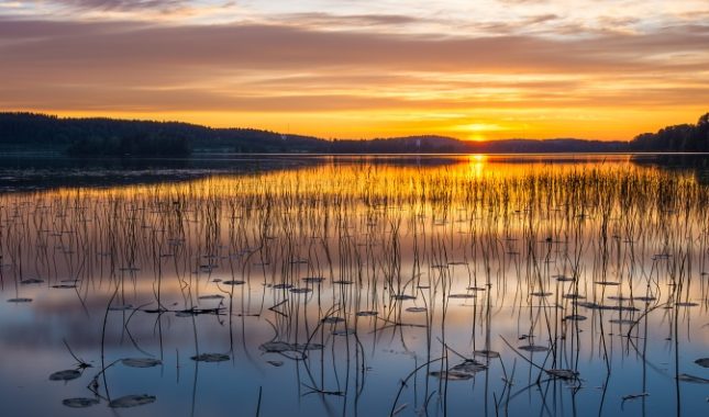 Strast koja me je upropastila