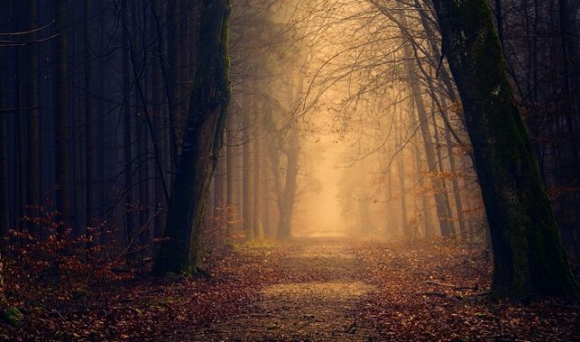 Na psihijatriji radi sihra (rukja kao spas)