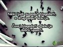 Ponekad nas krivi ljudi u životu odvedu do onih pravih! Ponekad nas krivi ljudi u životu odvedu do onih pravih!