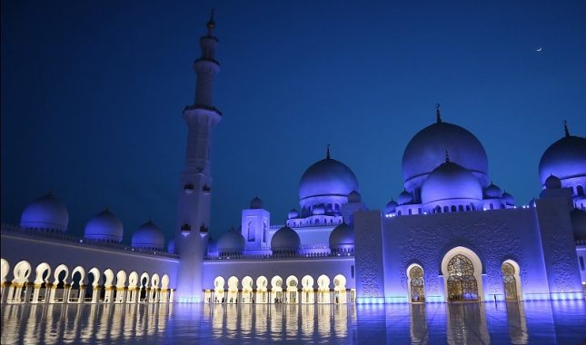 Predavanja od “bradonja” su mi promijenili život