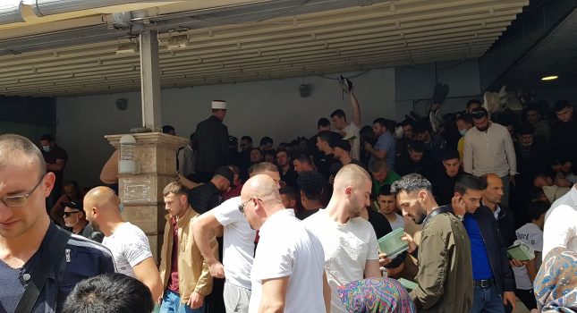 IKCPG u posjeti najvećem i najorganizovaniem džematu na Balkanu-TIRANA 56 FOTOGRAFIJA