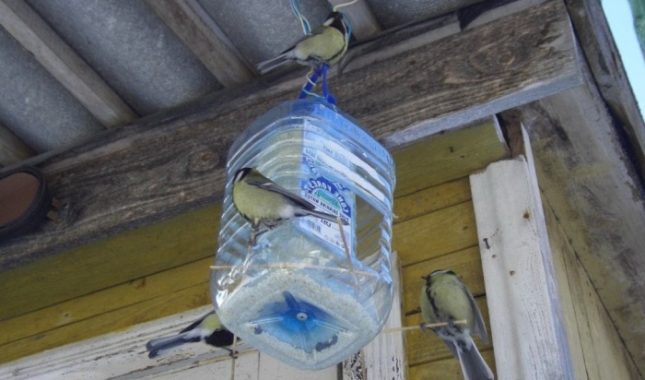 Ostavite vodu na dostupnom mjestu i pomozite pticama da prežive ljeto