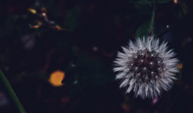 Toliko sam griješio da sam izgubio sav iman koji sam imao