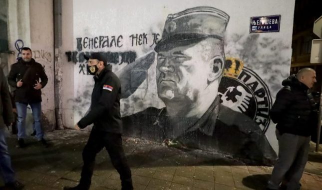 Vijeće Evrope pozvalo vlasti u Srbiji da uklone Mladićev mural, užasnuti ponašanjem policije