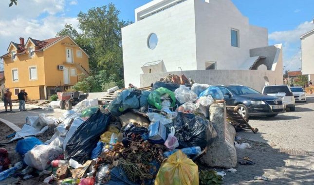 Mještani apeluju na radnike ,,Čistoće“ da što hitnije uklone divlju deponiju
