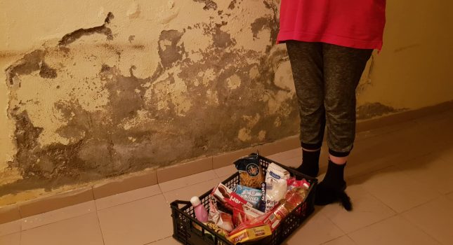 IKC Podgorica podijelio 87 paketa hrane i hemije, građanima Podgorice i Malesije