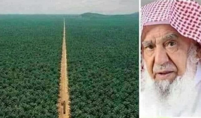 Milijarder bez novca