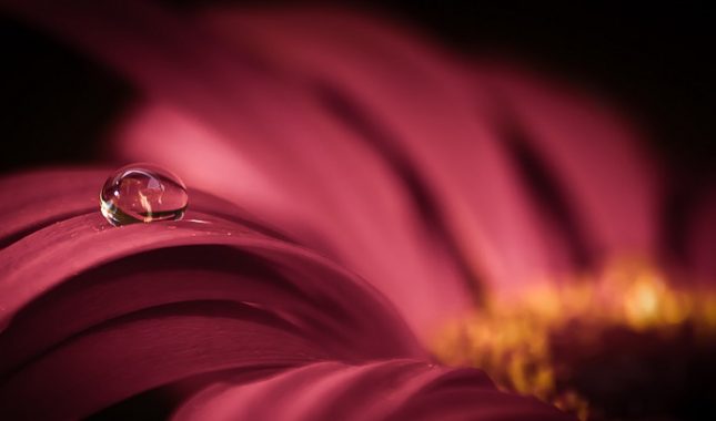 Tri pitanja i odgovora