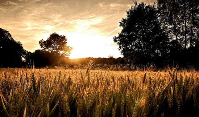 Priča o čovjeku koji je mislio da ga Allah neće kazniti za grijeh