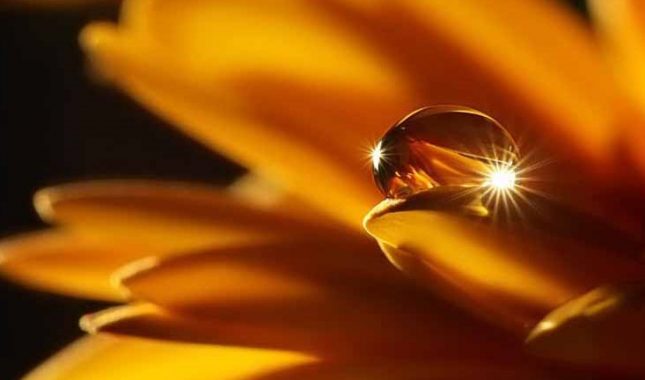 Nikada nijedan čovjek ne bi razveo svoju ženu da su poput tebe