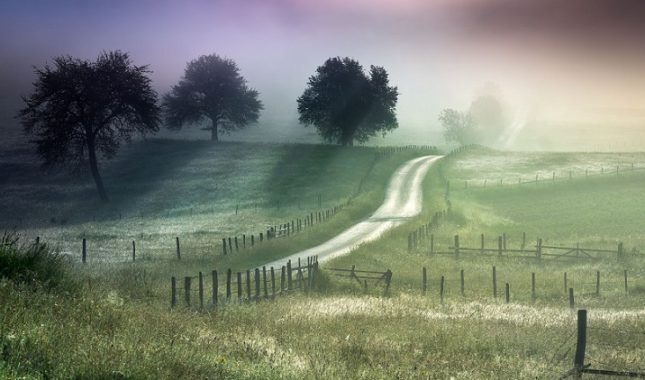 Glumila sam sreću, a gušila se u vlastitom blatu
