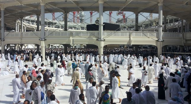 Impresije sa hadža  prof.Džemala Dacić