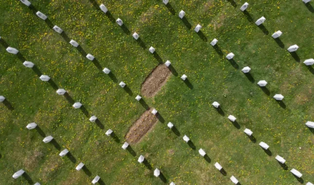 Bursać: Da ima ljudskosti, Srbija bi inicirala rezoluciju o genocidu u Srebrenici
