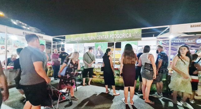 IKC PODGORICA PONOVO NAJUSPJEŠNIJI NA SAJMU KNJIGA 2023 god. U ULCINJU (239 FOTOGRAFIJE)
