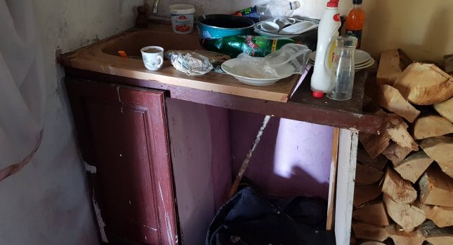 Obezbijeđena drva za Belkizu Koljenović