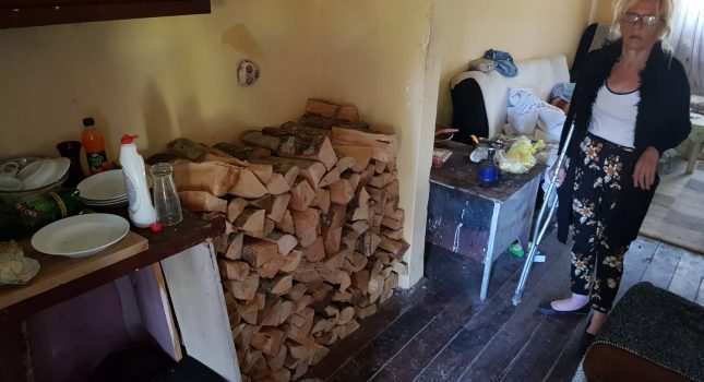 Obezbijeđena drva za Belkizu Koljenović