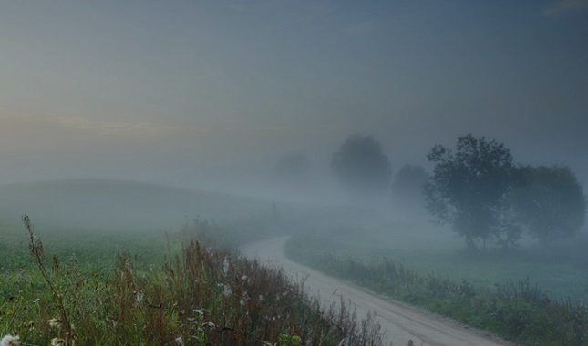 Zakašnjela roditeljska briga