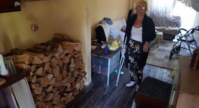 Obezbijeđena drva za Belkizu Koljenović