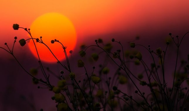 Stigla ga kletva obespravljenog čovjeka