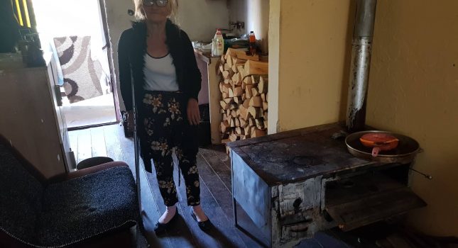 Obezbijeđena drva za Belkizu Koljenović