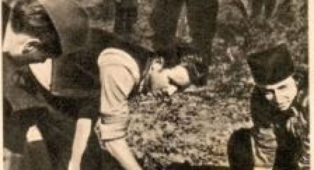 GENOCID U BIHORU NA BADNJE VEČE I BOŽIĆ 1943.