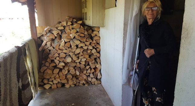Obezbijeđena drva za Belkizu Koljenović