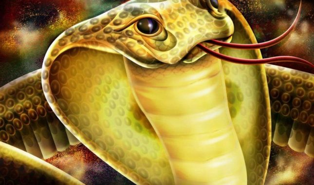 Mu’min ne smije biti ujeden iz iste rupe dva puta