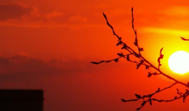 Čuvaj se inata u braku (Inat uništava i najveću ljubav)