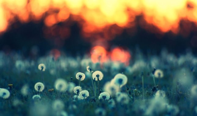 Umjesto da bude istinski smiraj, brak je danas postao gubilište