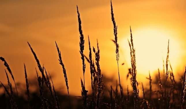 Srednjoškolka koja se upušta u grijeh za koji slijedi žestoka kazna