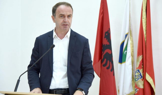 Đeljošaj: Iz institucija da odgovore zašto nijesu zaštitili Šejlu