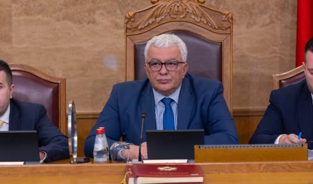 Bursać: Da vam nacrtam, sa Mandićem u EU ne možete sve i da hoćete