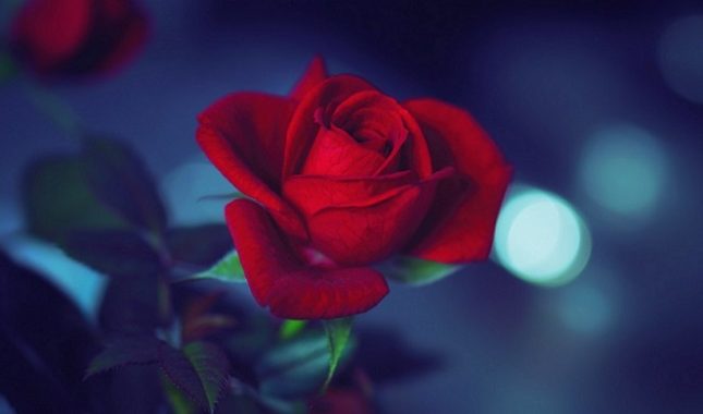 Pet načina na koje ne znajući uništavate svoga muža i ubijate svoj brak