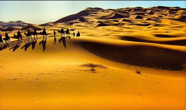 Bolje je biti rep istini, nego glava laži i munafikluku