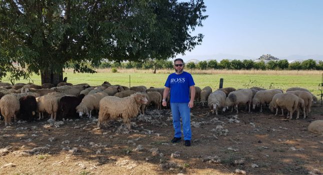 Uspješno završen projekat Kurbani 2019 u organizaciji IKC Podgorica (74 slike)