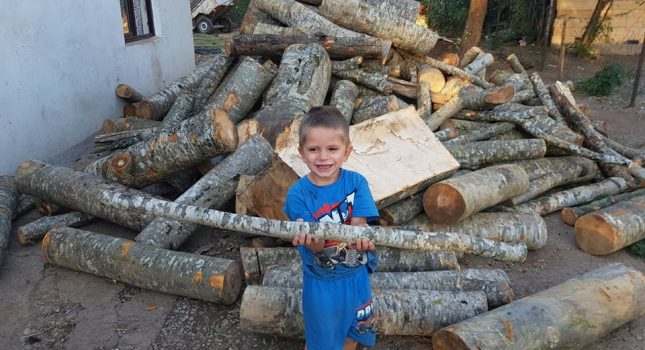 Obezbijeđena drva za malenog Esmira i njegovu sestru Enesu