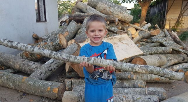 Obezbijeđena drva za malenog Esmira i njegovu sestru Enesu