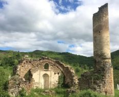 REAGOVANJE MEDŽLISA ISLAMSKE ZAJEDNICE BIJELO POLJE