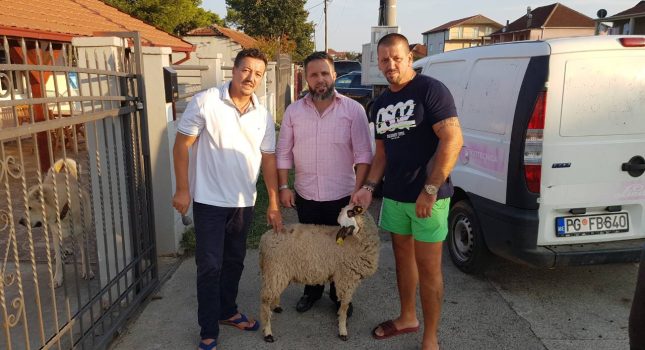 Dobročinstvo i sadaka na račun umrlog brata Harisa Koljenović