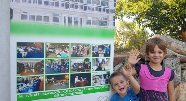 Obezbijeđena drva za malenog Esmira i njegovu sestru Enesu