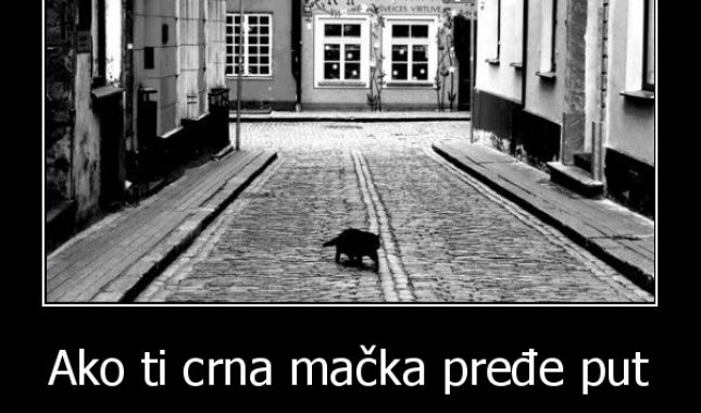 Da li znate za porijeklo praznovjerja da crna mačka donosi nesreću?