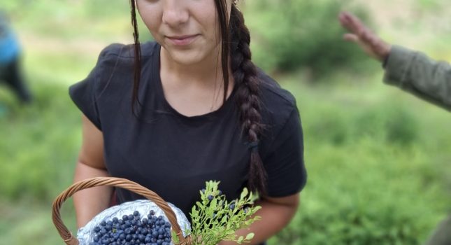 NA KATUNU MASLA PEJČINOVIĆA, ĐE MIRIŠU BOROVNICE I PROKLETIJE