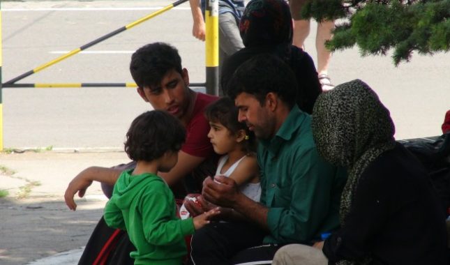 Evo kako je Srbijanka okusila slast Ramazana od siromašnih imigranata