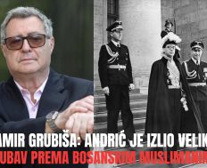DAMIR GRUBIŠA I SRPSKI RADIKALI