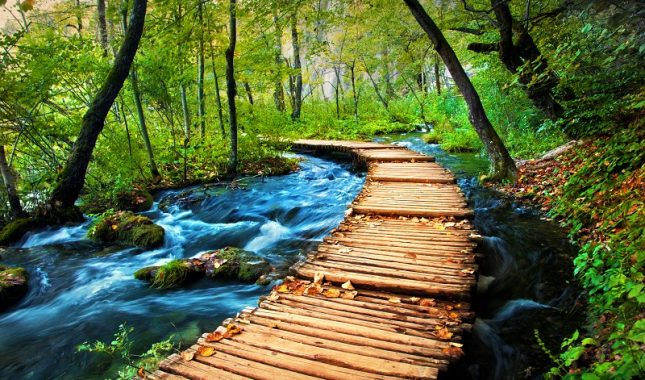 Istinska promjena dolazi kroz trud i odricanje, a ne kroz očekivanje čuda