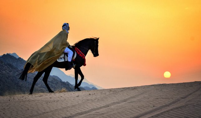 Poučan primjer kako se oduzeto pravo vraća onome kome i pripada