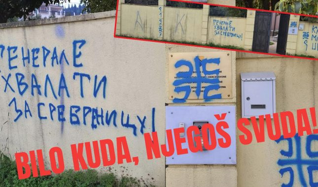 GORSKI VIJENAC I PODGORIČKI GRAFIT