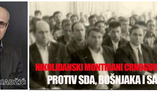 ABOLICIJA KAO PREDUPRJEĐENJE SUDSKE ODLUKE